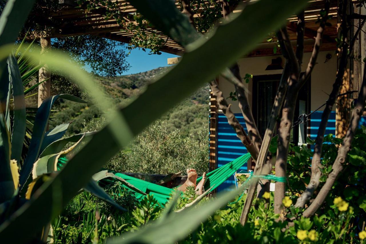 Saveriako, Paradise For Relaxed Free Spirits Villa Agia Pelagia  Ngoại thất bức ảnh